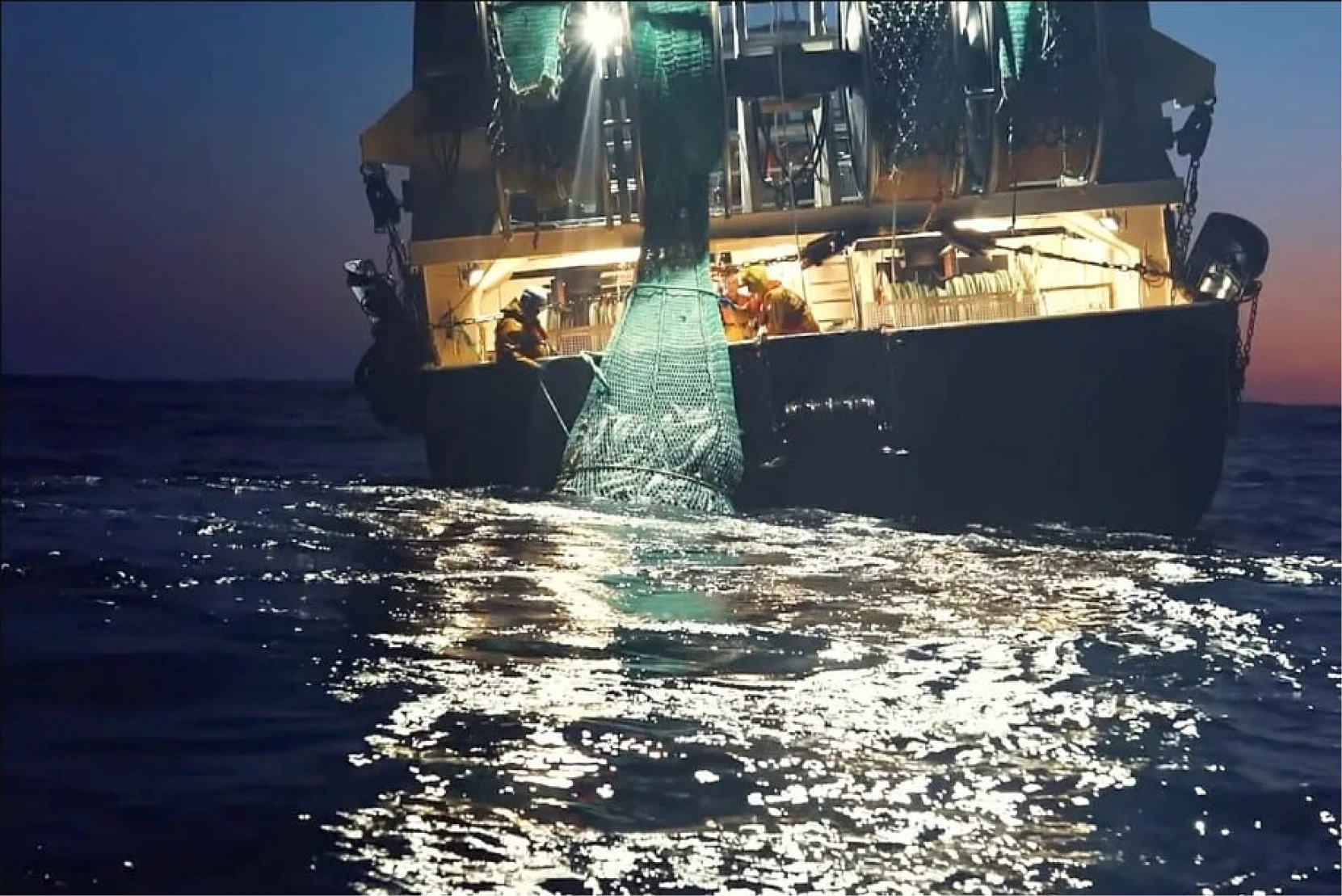 What Netflix’s Seaspiracy gets wrong about fishing, explained by a marine biologist