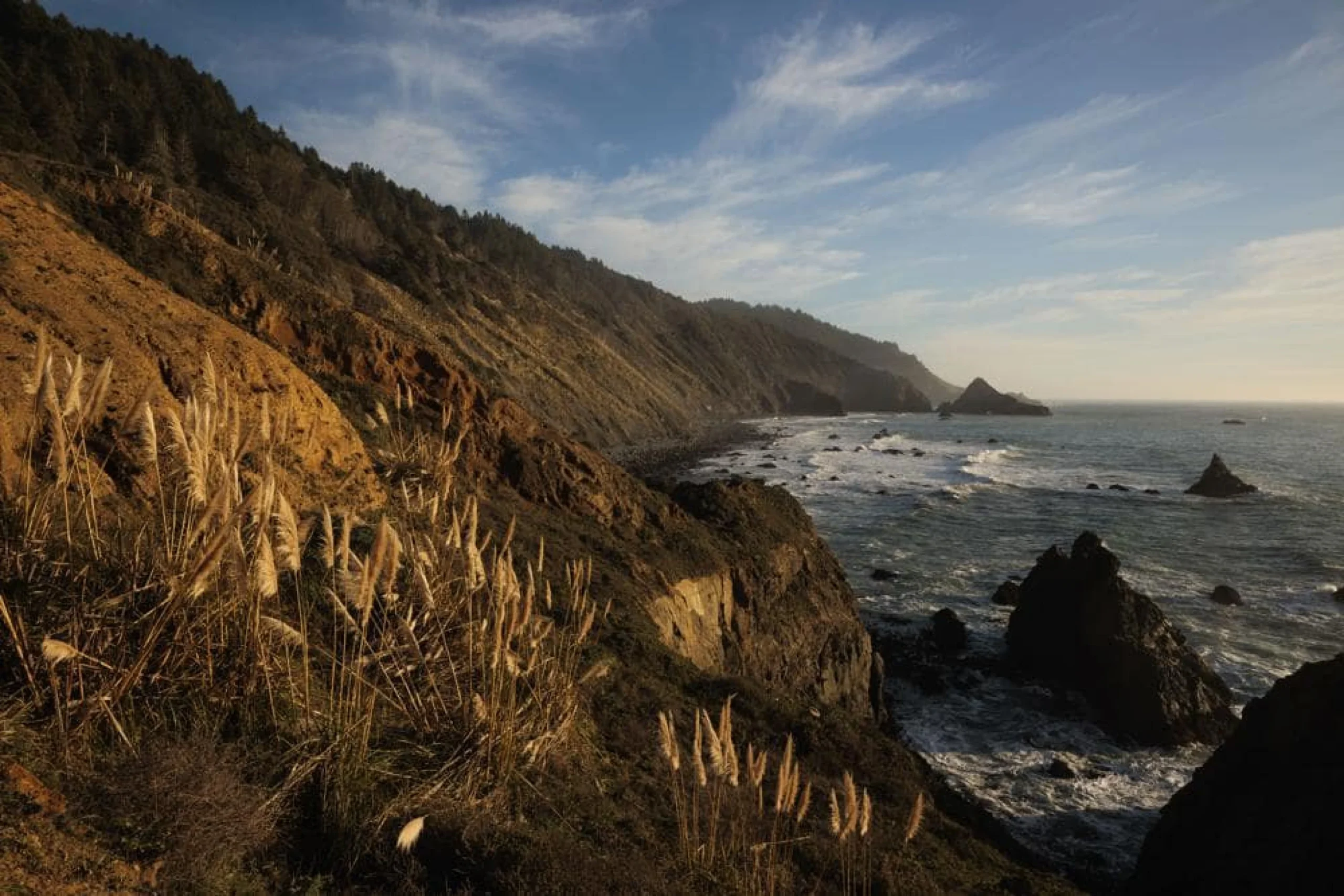 Scenic stretch of Lost Coast redwoods to be spared the ax