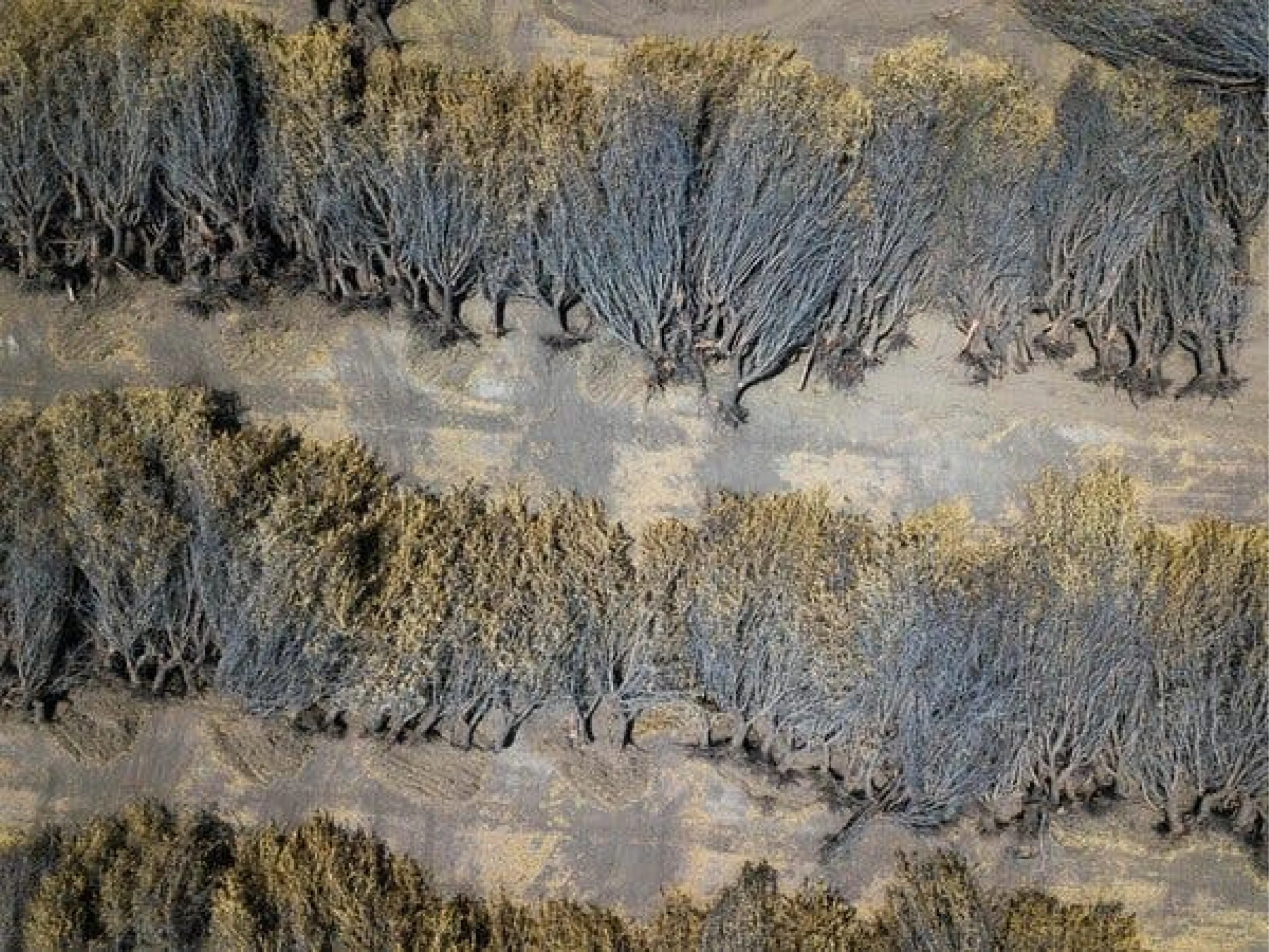 Expecting the Western Drought to End Soon? Not Likely, Forecasters Say.